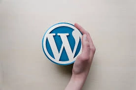 Why our Wordpress Site works Slowly?