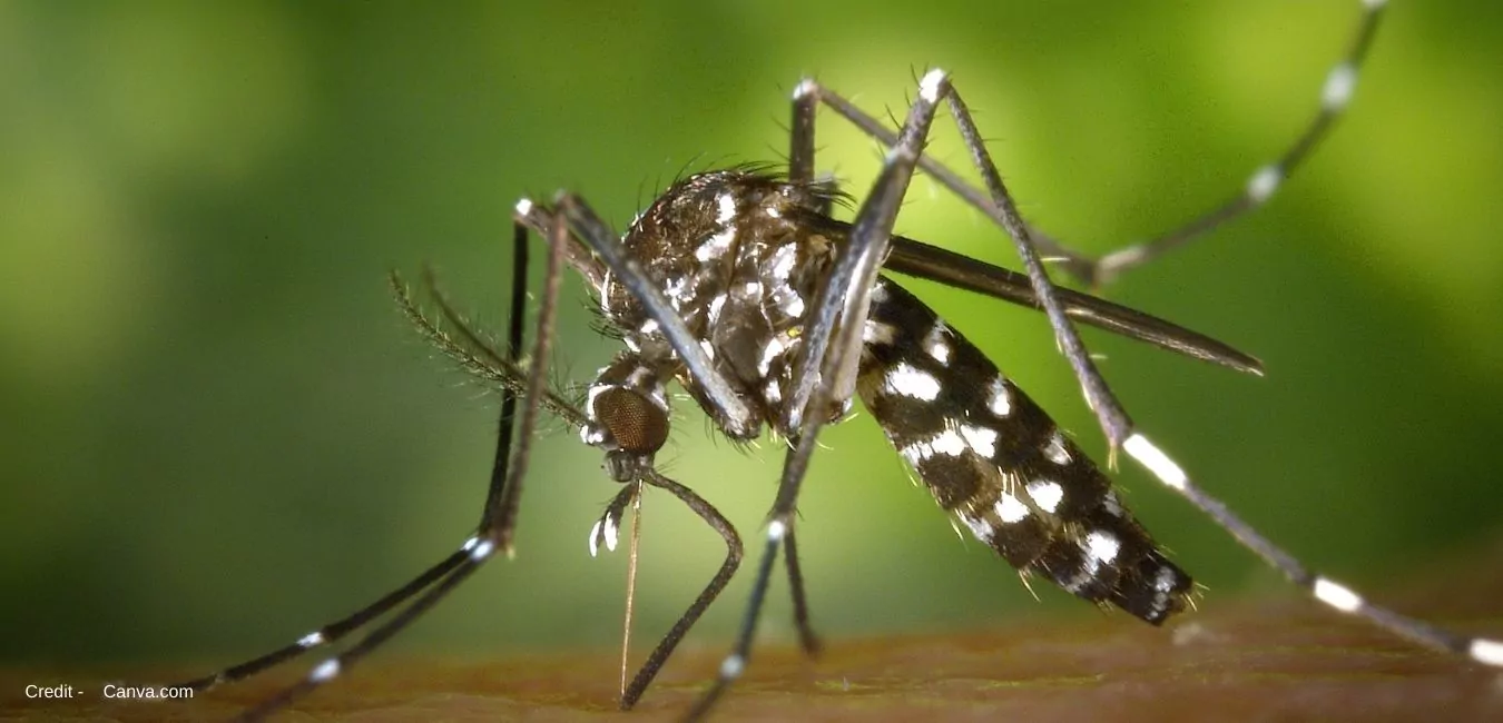 36 children 5 adults have died due to dengue & other suspected disease