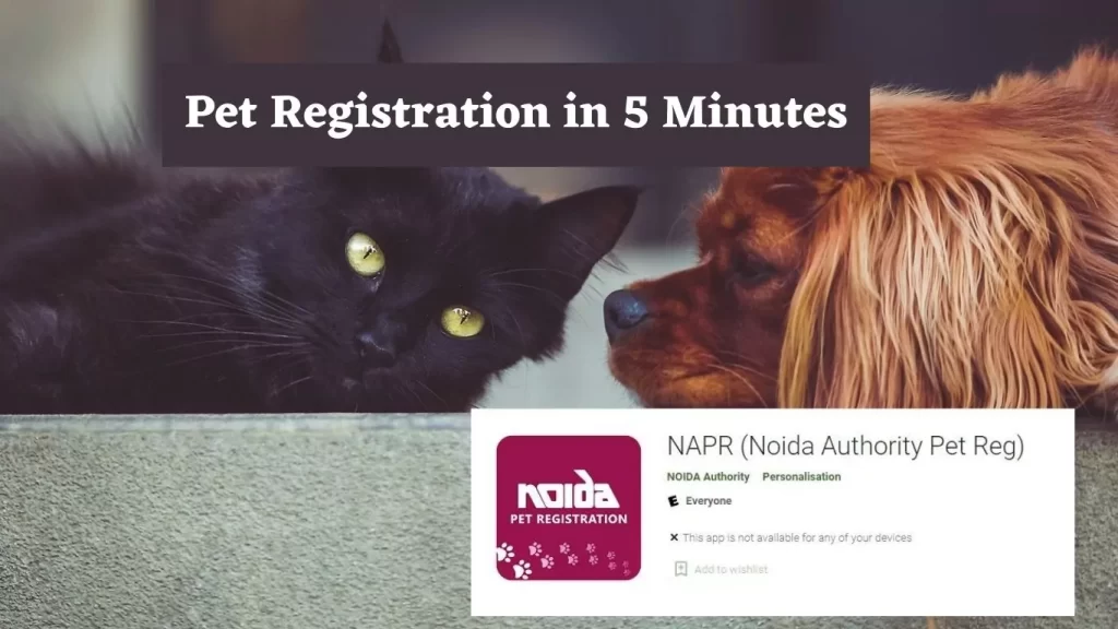 How to Registered Your Pet on Noida Authority Pet App