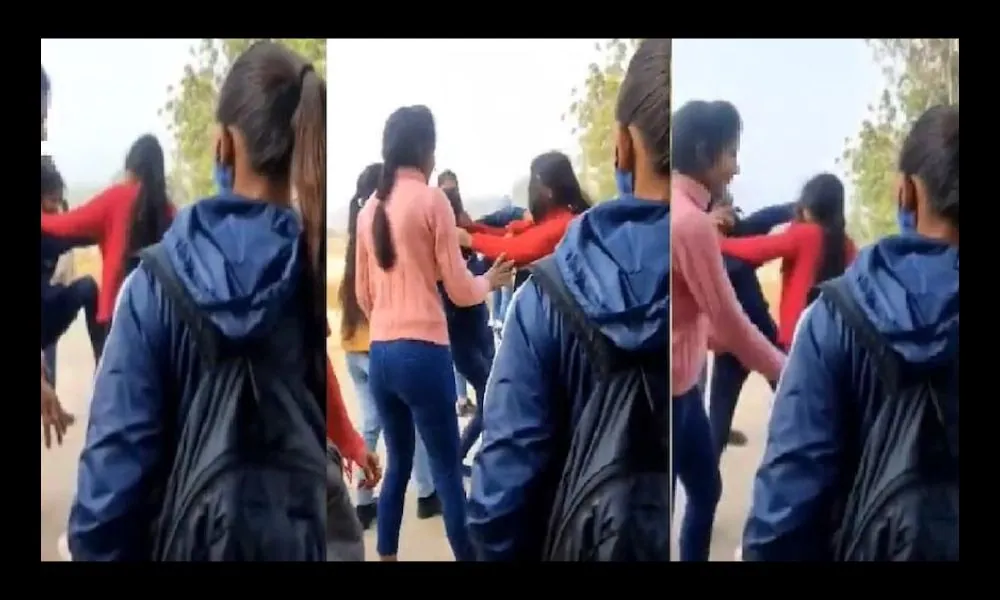 Hapur Pilkhua - Two girl students clashed with each other in front of degree college